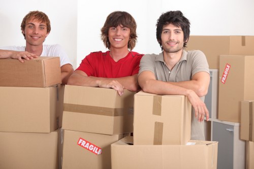 Packed boxes and furniture ready for removal in Swiss Cottage flat